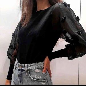 Elegant Black Sheer Sleeve Top